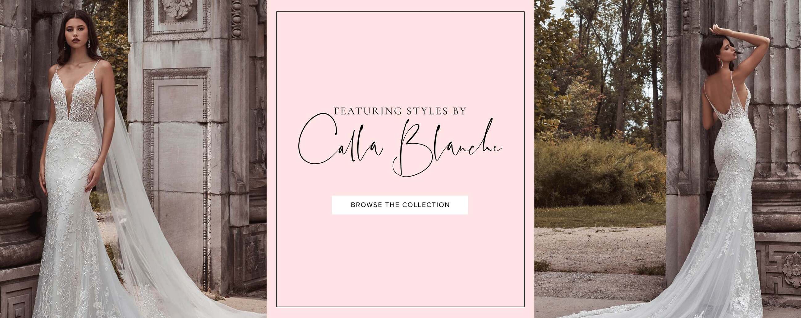 "Calla Blanche" banner for desktop